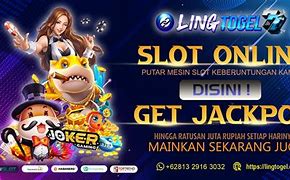 Live Streaming Slot Maxwin Hari Ini Cara Main Slot Gacor Hari Ini